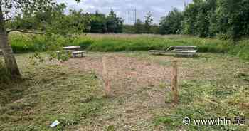 Groenzone Gentsemeersweg krijgt grondige facelift - Het Laatste Nieuws