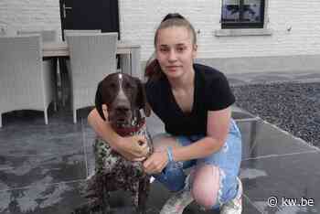 Louise (15) is Kinderkrak in Pittem - KW.be