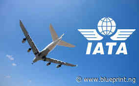 Africa's aviation sector to lose $700m, IATA warns - Blueprint Newspapers Limited