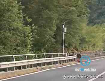 Installato sulla superstrada Rieti - Terni il nuovo autovelox previsto già da un anno - Rietinvetrina