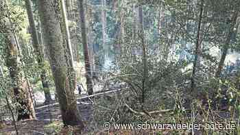 Nach Waldbrand Bad Teinach: Netze BW repariert mit Hubschrauber Leitungen