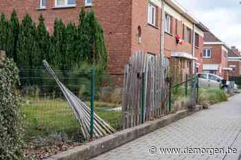 Extra onderzoeken op til rond loodwaarden van kinderen rond Umicore in Hoboken - De Morgen