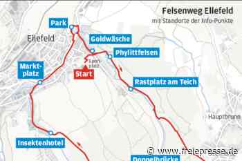 Auf weichen Pfaden zum Röthelstein - freiepresse.de