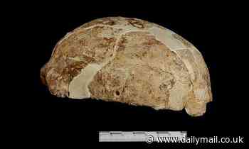 DNA from fossils unearthed in southern China suggest Native Americans have East Asian roots