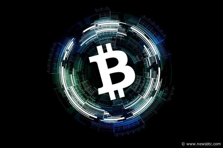 Key Data Indicates Positive Trend For BTC Long-Term Holders