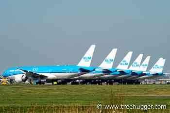 Aviation's First Greenwashing Lawsuit Takes Off Against Dutch Airline KLM - Treehugger