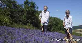Pia und Max Rübel erschaffen „Augen- und Insektenweide“ am Potzberg - Neunkirchen - Rheinpfalz.de