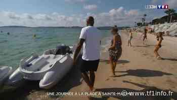 Une journée à la plage à Sainte-Maxime - TF1 INFO