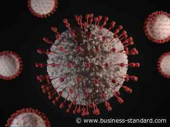 Mumbai records 339 new coronavirus cases, 2 deaths; active tally at 2,805 - Business Standard