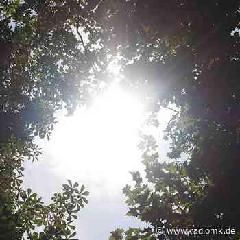 Iserlohn: Planungen für ersten "wildnispädagogischen Kindergarten" - Radio MK