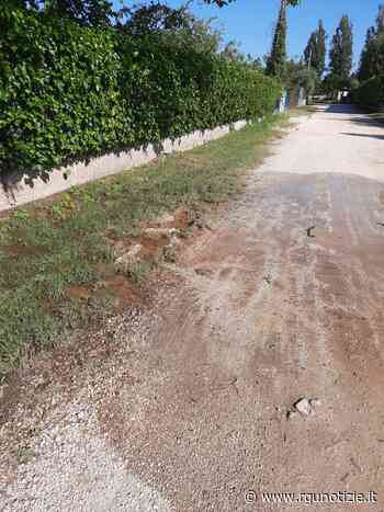 Foligno, conduttura perde da venti giorni. “Ma nessuno fa niente” - Rgunotizie.it