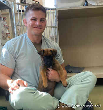 Wisconsin Veterinary Medical Students Lead the Way - University of Wisconsin School of Veterinary Medicine - University of Wisconsin School of Veterinary Medicine