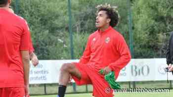 Bari, speranza under. Da Benedetti a Dorval: chi è pronto a lasciare il segno - BARI CALCIO