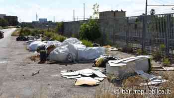 Bari, gli sporcaccioni di strada San Giorgio Martire individuati e multati: "In città 150 sanzioni nelle ulti… - La Repubblica