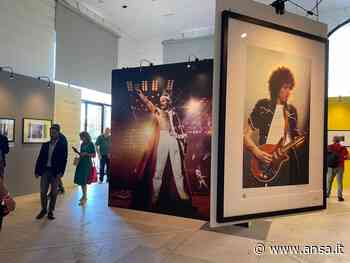 Fotografia: gli scatti di O'Regan ai Queen in mostra a Bari - Agenzia ANSA