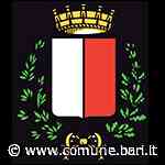 Obey Peace Revolution - Eventi - Comune di Bari