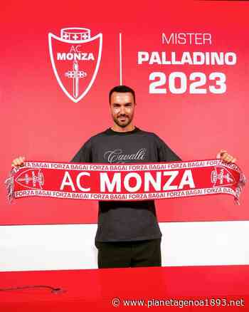 Ex Genoa: Palladino rinnova col Monza - PianetaGenoa1893 - Pianetagenoa1893.net