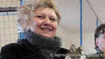 Flash mob per salvare il Rifugio del micio già raccolte 4800 firme - La Provincia Pavese