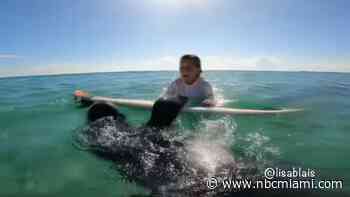 Manatee Caught on Camera Using Child's Surfboard Near Fort Pierce