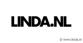 Jeuk, irritatie en slapeloze nachten: bewoners hebben al jaren last van bedwantsen - LINDA.