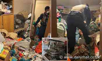 Hoarder home in Liverpool Sydney raided by RSPCA finds dead birds and mountain of rubbish - Daily Mail