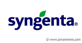 Corn Growers Should Start Monitoring for Pests Now to Protect Yield