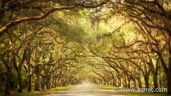 Best online colleges in Georgia