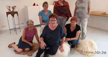 Wolatelier toont pareltjes van zeefdruk in nieuwe expo op Huysmanhoeve - Het Laatste Nieuws