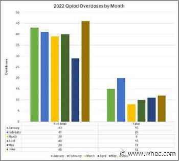 Monroe County Heroin Task Force June Report