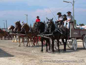 Lansdowne Fair opens on Friday | Kingston/Frontenac This Week - Kingston This Week