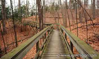 What's happening in Vaughan, Thornhill, King and surrounding area (July 15 to 21) - yorkregion.com