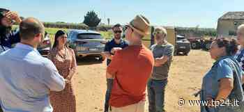 Castelvetrano, il sindaco Alfano indica Floridia per le primarie regionali del M5S - Tp24