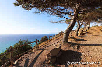 StraFesta Toscana: percorsi stra-ordinari tutti da gustare - Corriere del Vino