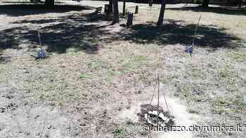 Pescara, parco Di Cocco: "Alberi piantati nella stagione sbagliata" - Abruzzo Cityrumors