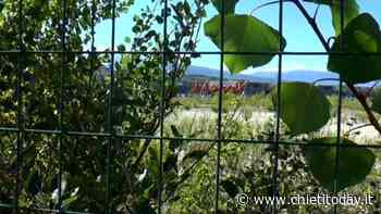 No a nuovo insediamento a ridosso del fiume Pescara, Wwf plaude alla decisione del Consiglio comunale teatino - ChietiToday