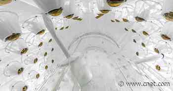 Underground Dark Matter Detector Begins Quest to Find the Unknown     - CNET