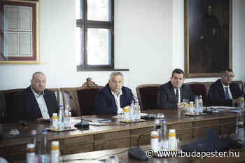 Beratung des Regierungskabinetts - Budapester Zeitung