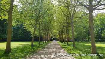 „Beratung to go“ in schweren Lebenslagen - neues Angebot in Rheine - Kirche-und-Leben.de