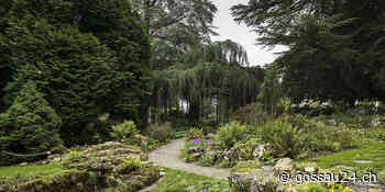 Stadt Gossau: Beratung für Biodiversität in Gärten | Stadt - gossau24.ch