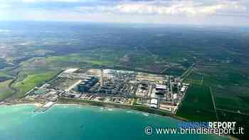 Dl aiuti, Fi: "E' legge avvio percorso virtuoso per Civitavecchia e Brindisi" - BrindisiReport