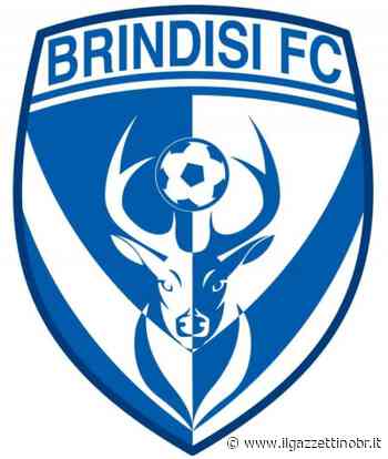 Brindisi calcio giovanile, 150 allievi negli stage - Il Gazzettino di Brindisi