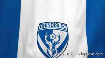 Brindisi, per la porta l'obiettivo è Borbei del Lecce - TuttoCalcioPuglia.com