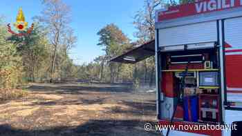 Trecate, vasto incendio nel Parco del Ticino: tre ettari in fumo - NovaraToday