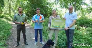 Treeathlon: Volle Kraft voraus für den Lemgoer Stadtwald | Lokale Nachrichten aus Lemgo - Lippische Landes-Zeitung