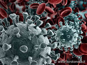 Covid, continuano a salire i contagi in Calabria ed a Crotone - Il Crotonese