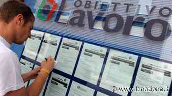 Neet, Empoli in prima linea per supportare i giovani - LA NAZIONE