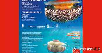 A Monfalcone Riflessi d'acqua - specie protetta - Il Friuli