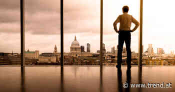 Malik on Management: Gehen Sie aufs Ganze! - trend.at