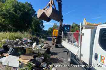 Opération nettoyage de la forêt de Saint-Amand-Les-Eaux : des dépôts sauvages à endiguer - France 3 Régions