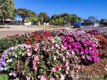 Praças Parques e Jardins - morrinhos.go.gov.br